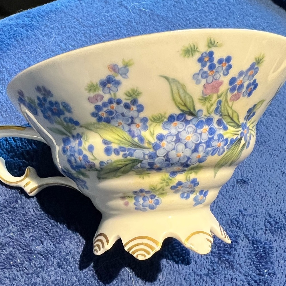 Beautiful antique Mitterteich Bavarian china cup Germany 45 Forget Me Not
